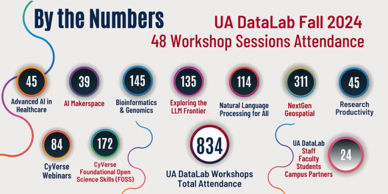 By the Numbers Fall 2024 U of A DataLab